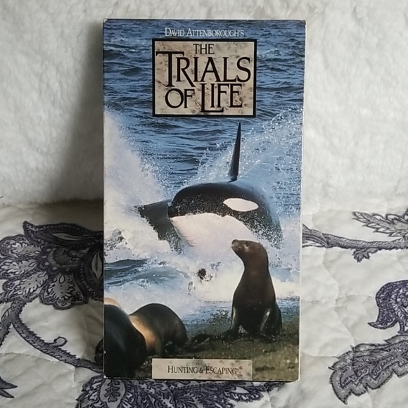 Vintage 1991 David Attenborough's "The Trials of Life" Time Life 12 VHS Box Set - Picture 11 of 15